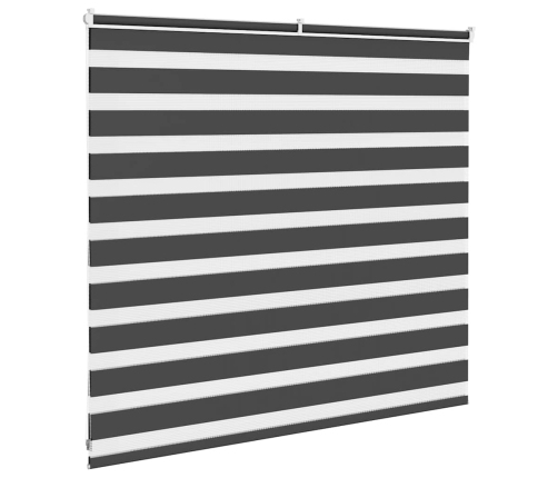 Žalūzijas Zebra 160X100 Cm Auduma Platums 155,9 Cm Poliesters Vidaxl