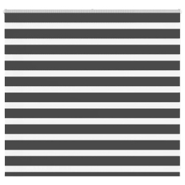 Žalūzijas Zebra 165X100 Cm Auduma Platums 160,9 Cm Poliesters Vidaxl