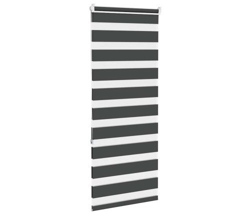 Žalūzijas Zebra 55X150 Cm Auduma Platums 50,9 Cm Poliesters Vidaxl