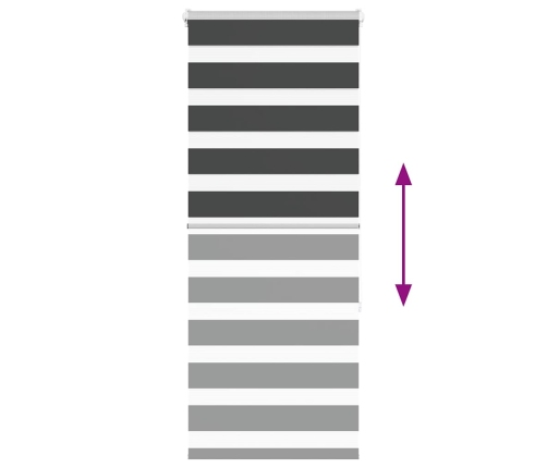 Žalūzijas Zebra 55X150 Cm Auduma Platums 50,9 Cm Poliesters Vidaxl