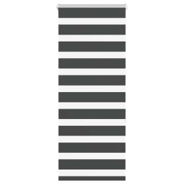 Žalūzijas Zebra 65X150 Cm Auduma Platums 60,9 Cm Poliesters Vidaxl