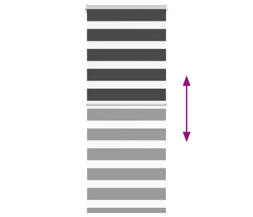 Žalūzijas Zebra 65X150 Cm Auduma Platums 60,9 Cm Poliesters Vidaxl