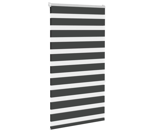 Žalūzijas Zebra 70X150 Cm Auduma Platums 65,9 Cm Poliesters Vidaxl