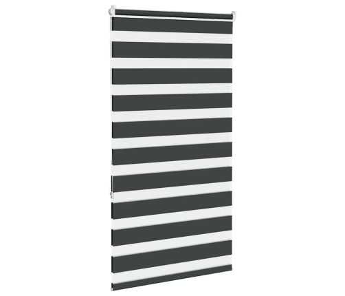 Žalūzijas Zebra 80X150 Cm Auduma Platums 75,9 Cm Poliesters Vidaxl
