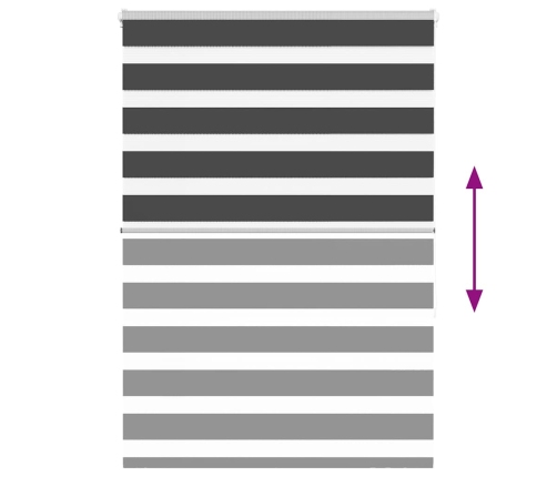 Žalūzijas Zebra 100X150 Cm Auduma Platums 95,9 Cm Poliesters Vidaxl