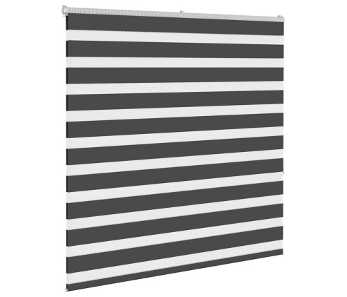 Žalūzijas Zebra 150X150 Cm Auduma Platums 145,9 Cm Poliesters Vidaxl