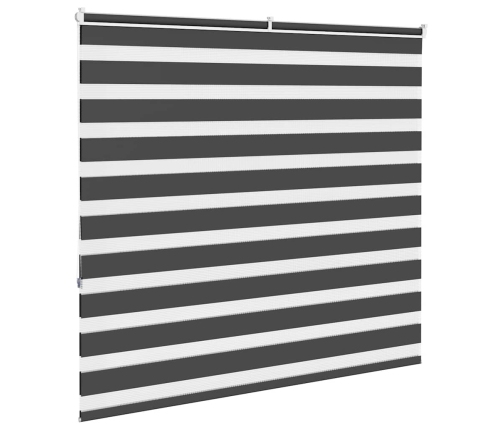 Žalūzijas Zebra 160X150 Cm Auduma Platums 155,9 Cm Poliesters Vidaxl