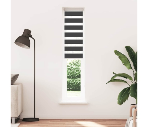 Žalūzijas Zebra 45X200 Cm Auduma Platums 40,9 Cm Poliesters Vidaxl