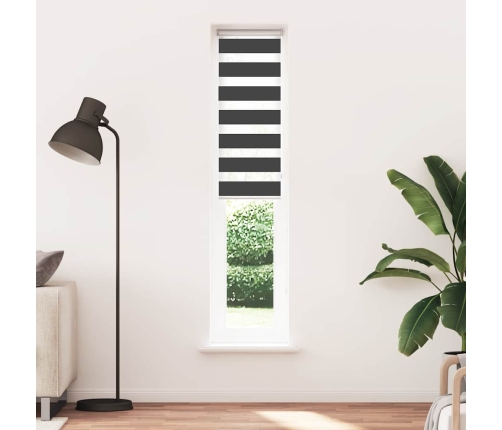 Žalūzijas Zebra 50X200 Cm Auduma Platums 45,9 Cm Poliesters Vidaxl