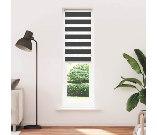 Žalūzijas Zebra 65X200 Cm Auduma Platums 60,9 Cm Poliesters Vidaxl