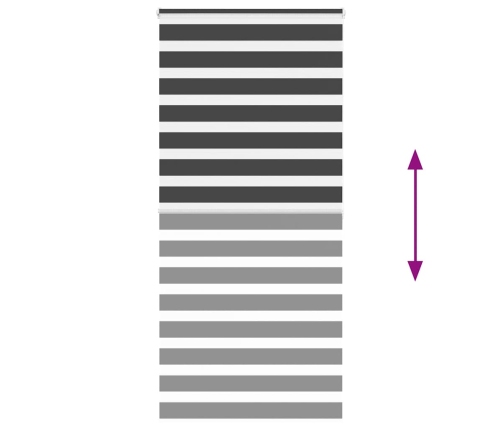 Žalūzijas Zebra 100X200 Cm Auduma Platums 95,9 Cm Poliesters Vidaxl
