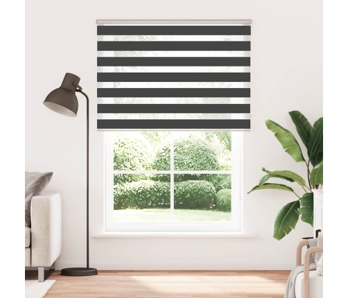 Žalūzijas Zebra 160X200 Cm Auduma Platums 155,9 Cm Poliesters Vidaxl