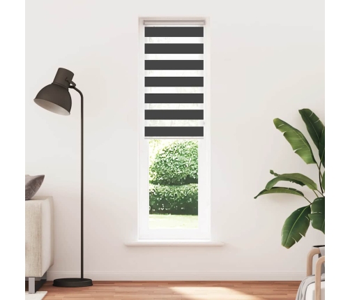 Žalūzijas Zebra 50X230 Cm Auduma Platums 45,9 Cm Poliesters Vidaxl