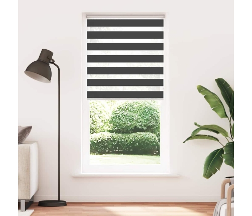 Žalūzijas Zebra 100X230 Cm Auduma Platums 95,9 Cm Poliesters Vidaxl