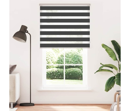 Žalūzijas Zebra 135X230 Cm Auduma Platums 130,9 Cm Poliesters Vidaxl