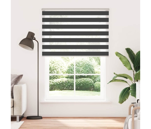 Žalūzijas Zebra 160X230 Cm Auduma Platums 155,9 Cm Poliesters Vidaxl