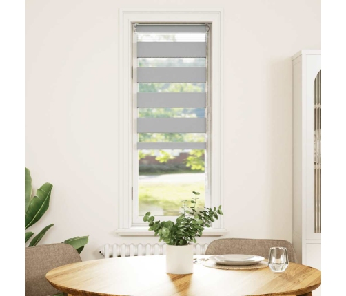 Žalūzijas Zebra 50X100 Cm Auduma Platums 45,9 Cm Poliesters Vidaxl