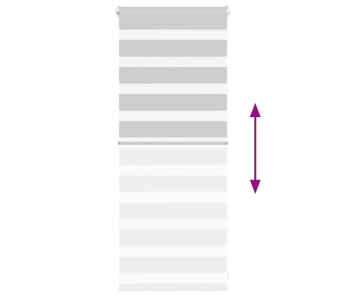 Žalūzijas Zebra 60X100 Cm Auduma Platums 55,9 Cm Poliesters Vidaxl