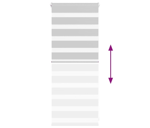 Žalūzijas Zebra 65X100 Cm Auduma Platums 60,9 Cm Poliesters Vidaxl