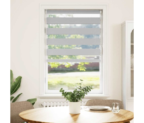 Žalūzijas Zebra 70X100 Cm Auduma Platums 65,9 Cm Poliesters Vidaxl