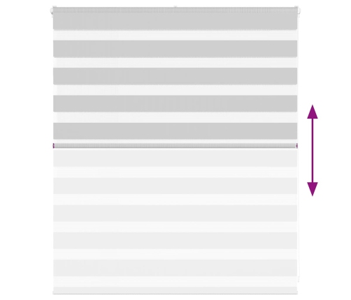 Žalūzijas Zebra 120X100 Cm Auduma Platums 115,9 Cm Poliesters Vidaxl