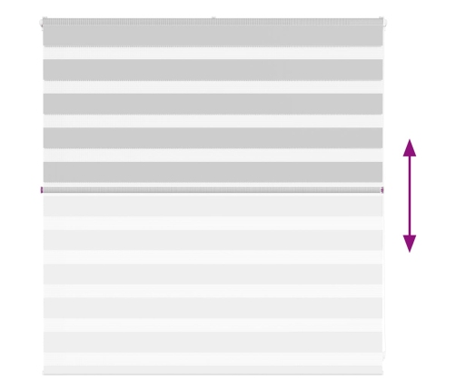 Žalūzijas Zebra 145X100 Cm Auduma Platums 140,9 Cm Poliesters Vidaxl