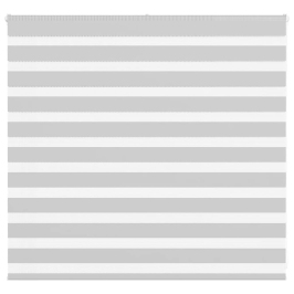 Žalūzijas Zebra 165X100 Cm Auduma Platums 160,9 Cm Poliesters Vidaxl