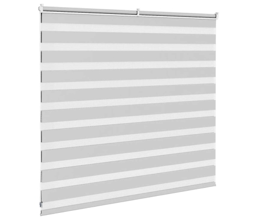 Žalūzijas Zebra 165X100 Cm Auduma Platums 160,9 Cm Poliesters Vidaxl