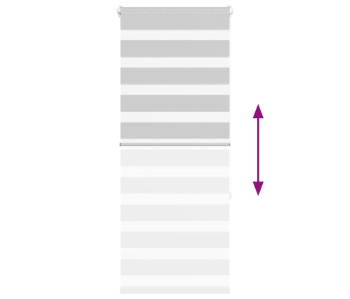 Žalūzijas Zebra 65X150 Cm Auduma Platums 60,9 Cm Poliesters Vidaxl