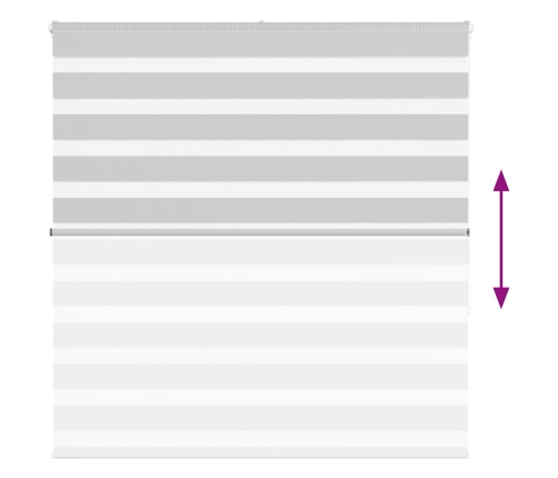 Žalūzijas Zebra 150X150 Cm Auduma Platums 145,9 Cm Poliesters Vidaxl