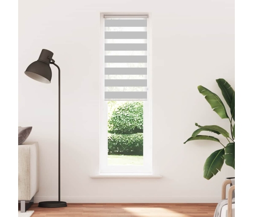 Žalūzijas Zebra 65X200 Cm Auduma Platums 60,9 Cm Poliesters Vidaxl