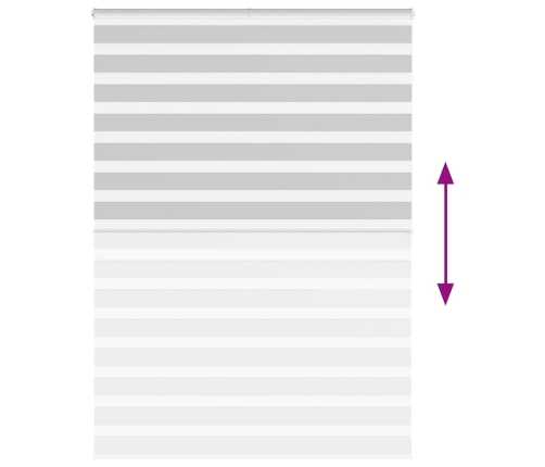 Žalūzijas Zebra 160X200 Cm Auduma Platums 155,9 Cm Poliesters Vidaxl