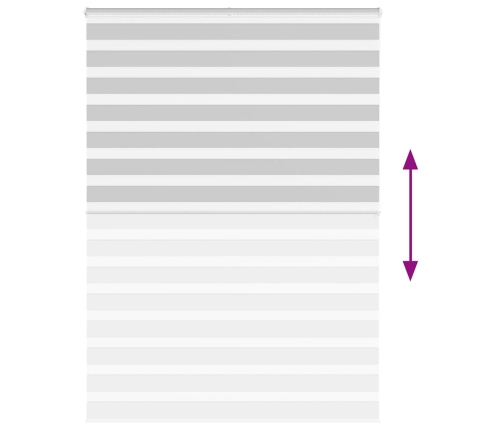Žalūzijas Zebra 165X200 Cm Auduma Platums 160,9 Cm Poliesters Vidaxl
