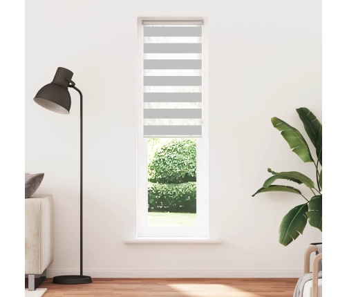 Žalūzijas Zebra 55X230 Cm Auduma Platums 50,9 Cm Poliesters Vidaxl