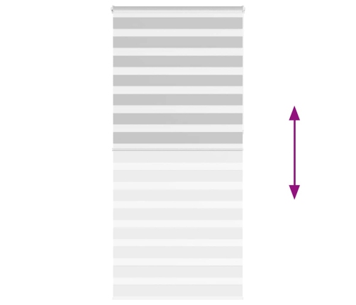 Žalūzijas Zebra 110X230 Cm Auduma Platums 105,9 Cm Poliesters Vidaxl