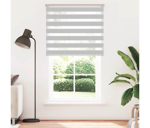 Žalūzijas Zebra 125X230 Cm Auduma Platums 120,9 Cm Poliesters Vidaxl