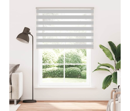 Žalūzijas Zebra 165X230 Cm Auduma Platums 160,9 Cm Poliesters Vidaxl