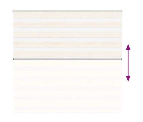Žalūzijas Zebra 165X150 Cm Auduma Platums 160,9 Cm Poliesters Vidaxl