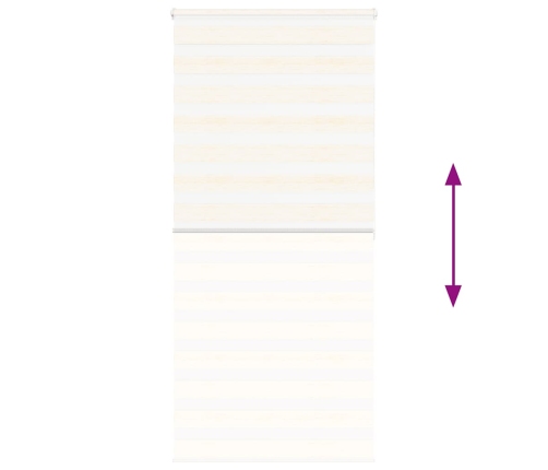 Žalūzijas Zebra 105X200 Cm Auduma Platums 100,9 Cm Poliesters Vidaxl