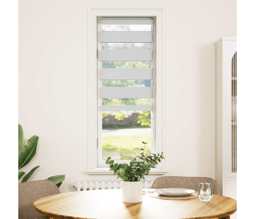 Žalūzijas Zebra 40X100 Cm Auduma Platums 35,9 Cm Poliesters Vidaxl