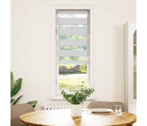 Žalūzijas Zebra 45X100 Cm Auduma Platums 40,9 Cm Poliesters Vidaxl