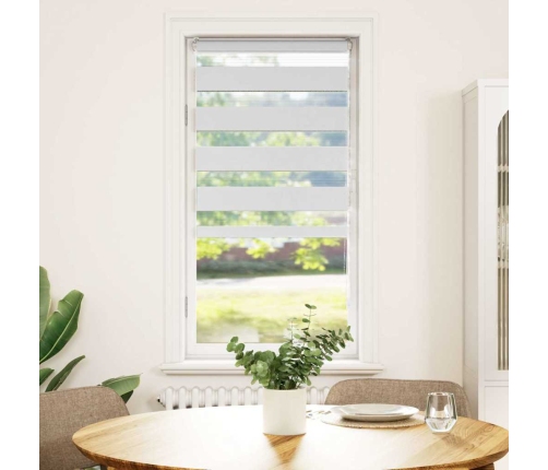 Žalūzijas Zebra 60X100 Cm Auduma Platums 55,9 Cm Poliesters Vidaxl