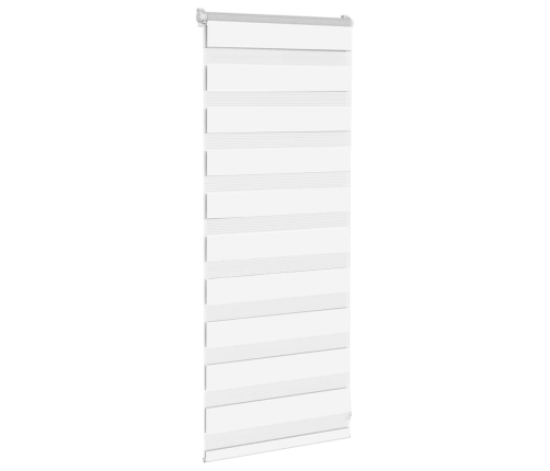 Žalūzijas Zebra 65X100 Cm Auduma Platums 60,9 Cm Poliesters Vidaxl