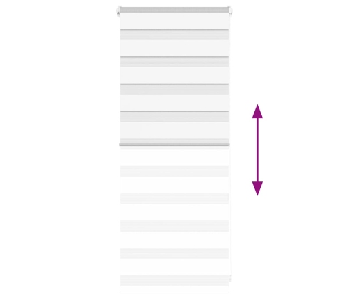 Žalūzijas Zebra 65X100 Cm Auduma Platums 60,9 Cm Poliesters Vidaxl