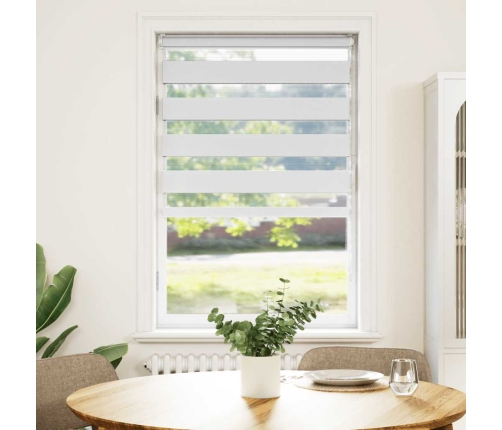 Žalūzijas Zebra 70X100 Cm Auduma Platums 65,9 Cm Poliesters Vidaxl