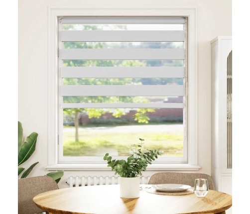 Žalūzijas Zebra 100X100 Cm Auduma Platums 95,9 Cm Poliesters Vidaxl