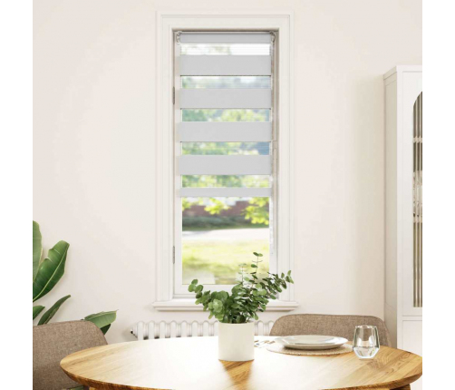 Žalūzijas Zebra 45X150 Cm Auduma Platums 40,9 Cm Poliesters Vidaxl