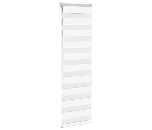 Žalūzijas Zebra 50X150 Cm Auduma Platums 45,9 Cm Poliesters Vidaxl