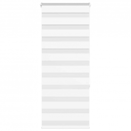 Žalūzijas Zebra 55X150 Cm Auduma Platums 50,9 Cm Poliesters Vidaxl