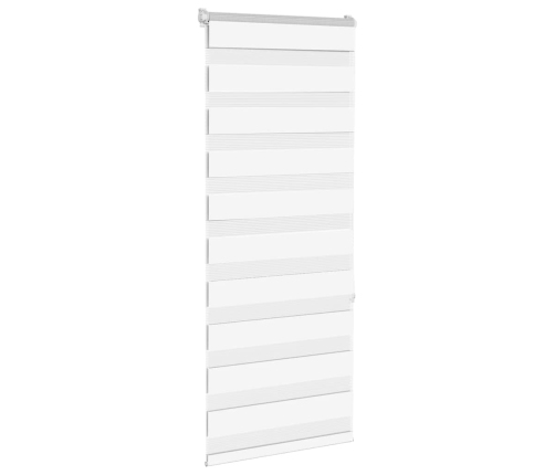 Žalūzijas Zebra 60X150 Cm Auduma Platums 55,9 Cm Poliesters Vidaxl